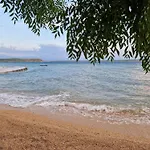 Misic Ртина