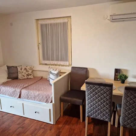 Apartment Misic Rtina