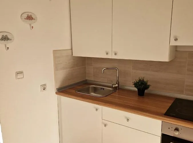 Apartament Misic *