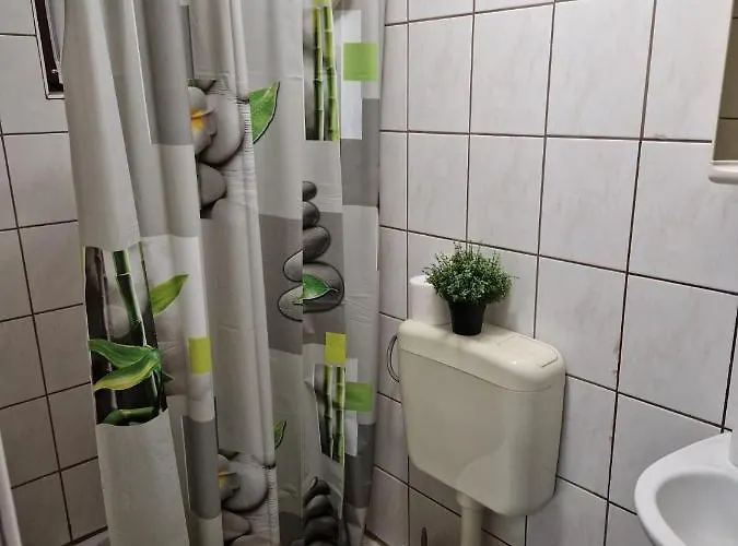Apartament Misic *