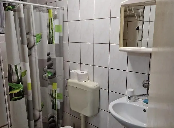 Apartament Misic *