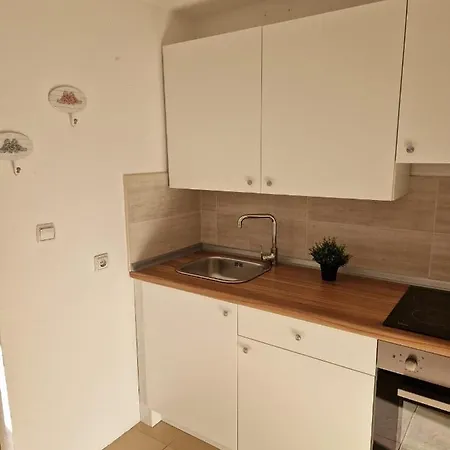 Appartement Misic *