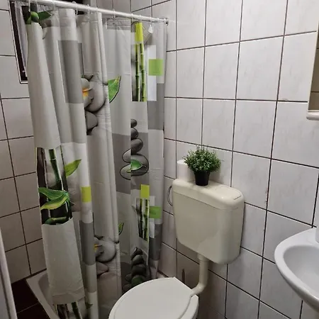 Appartement Misic *